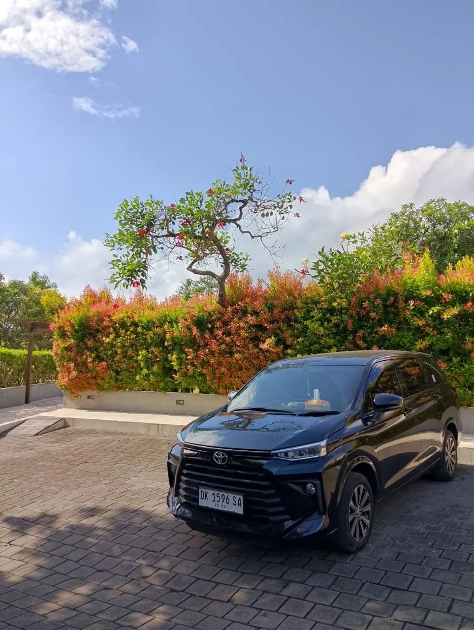 Choky's black Toyota Avanza parked in front of a flowering hedge